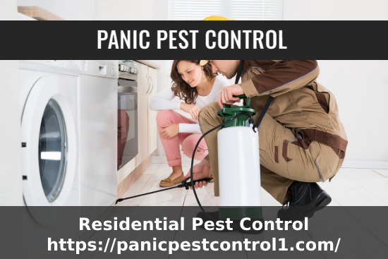 Reliable Residential Pest Control in San Bernardino, CA